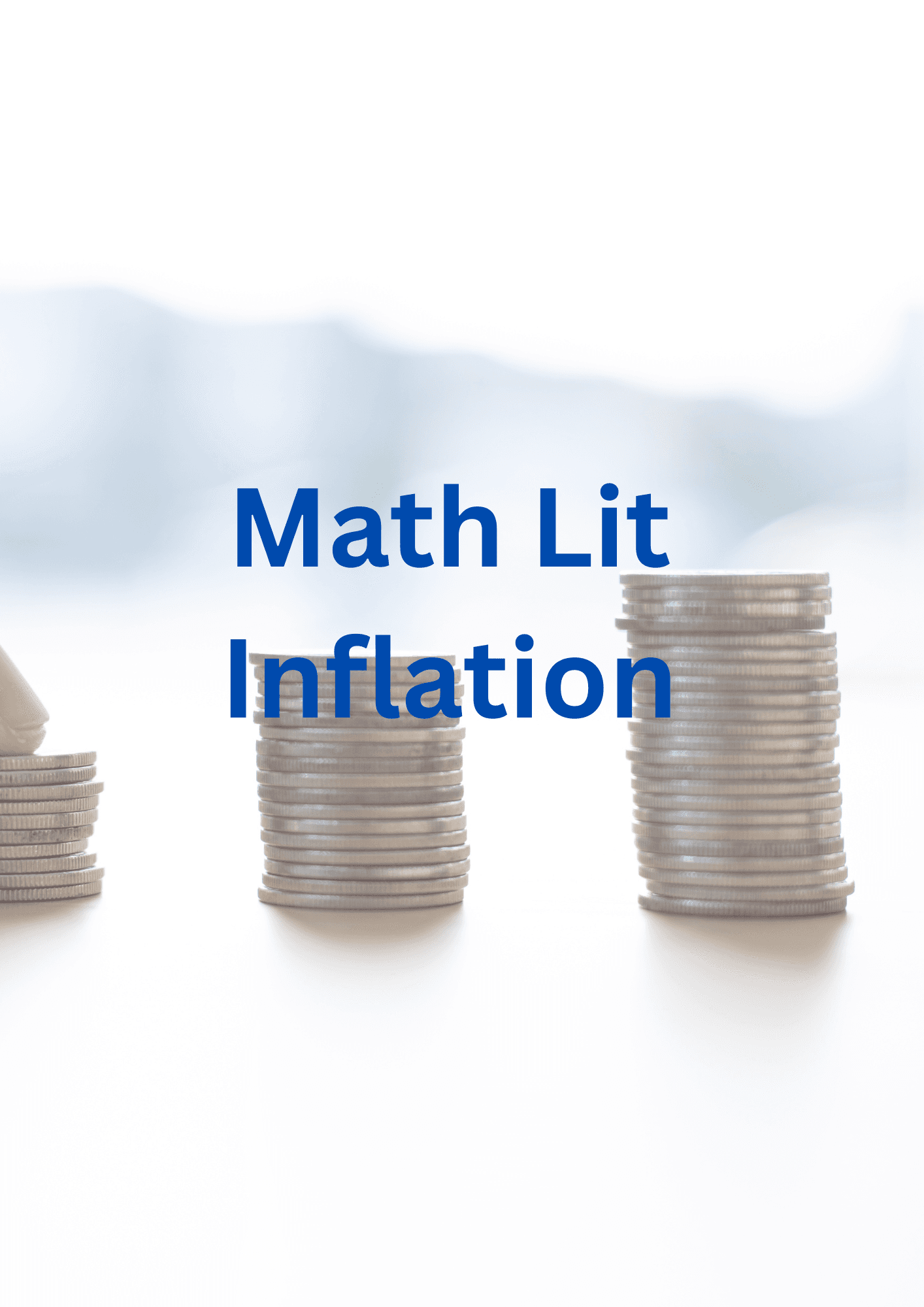 Math Lit Inflation, Taxation and exchange Rates.