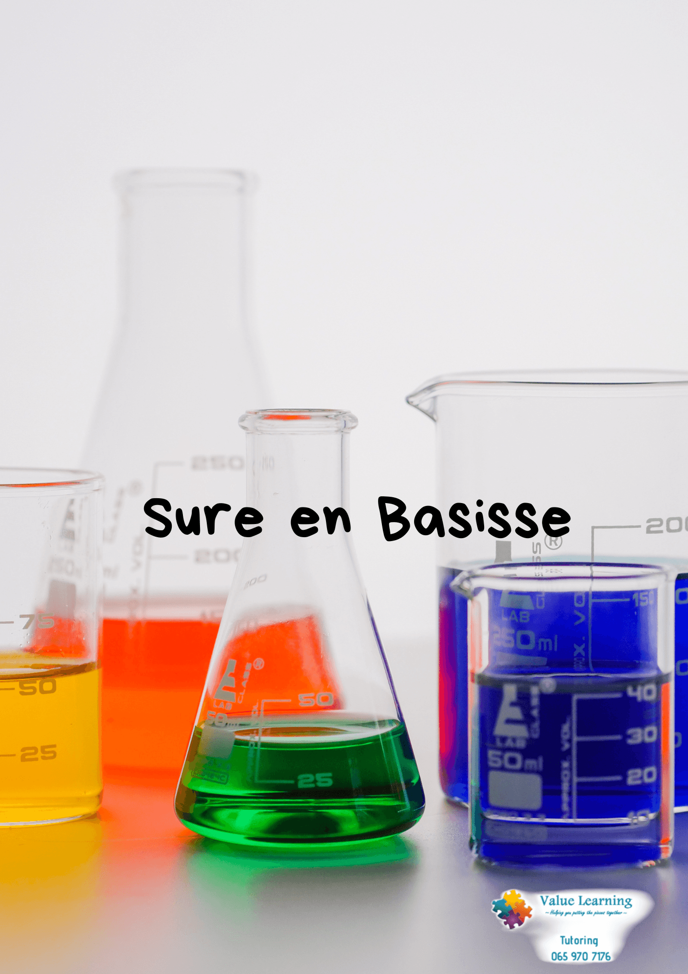 Suur en basisse Beginner 