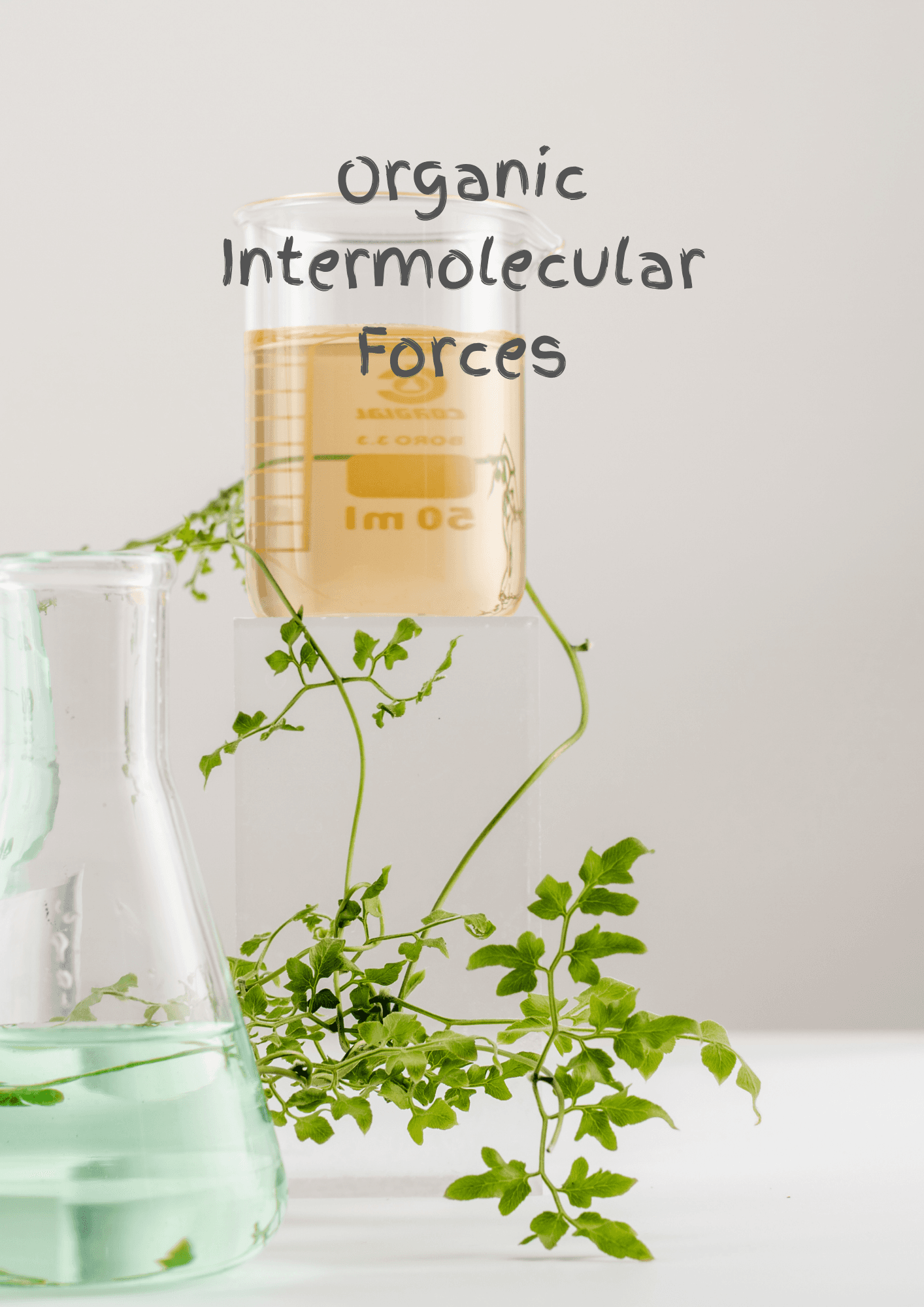 Organiese Chemie kort kursus